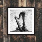 The Harp Pedro De Kastro Framed poster
