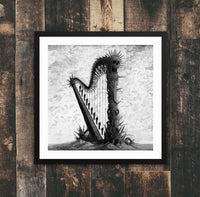 The Harp Pedro De Kastro Framed poster