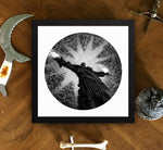 DEMO - THE REDEEMER Pedro De Kastro Framed poster