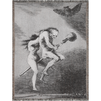 Francisco Goya Witch Woven Blankets
